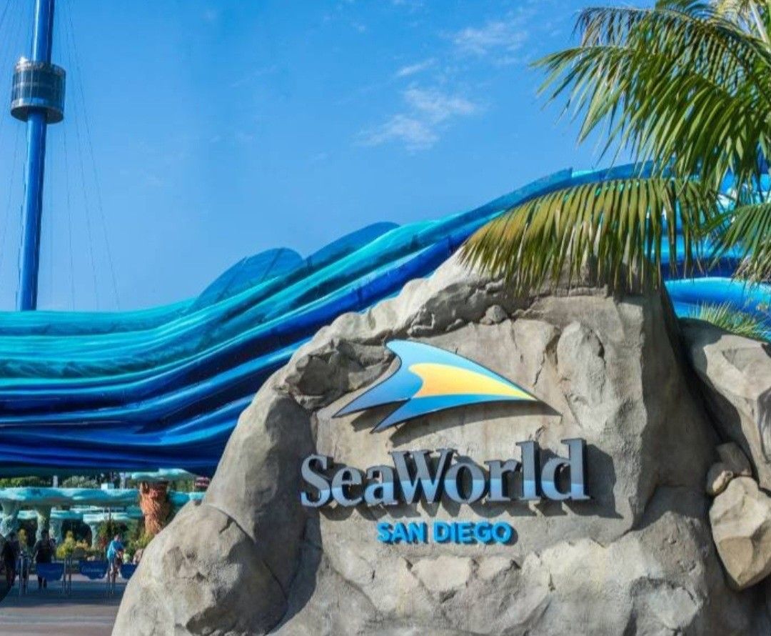 Seaworld Tickets $20. Expires 15th June