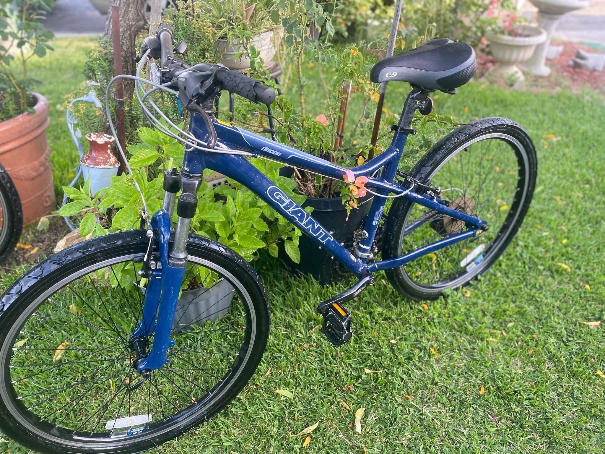 Giant Bike
