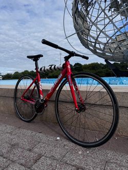 Cinelli Shark