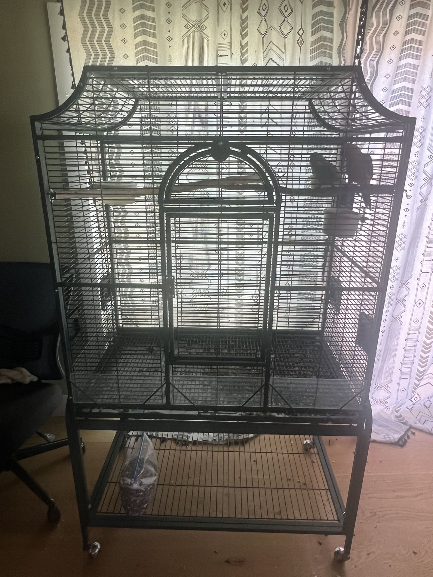 Parrot Cage