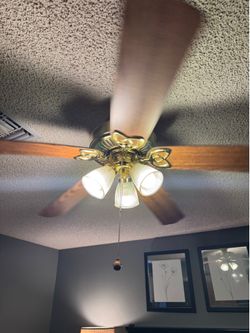 Ceiling fan Hampton Bay with lights