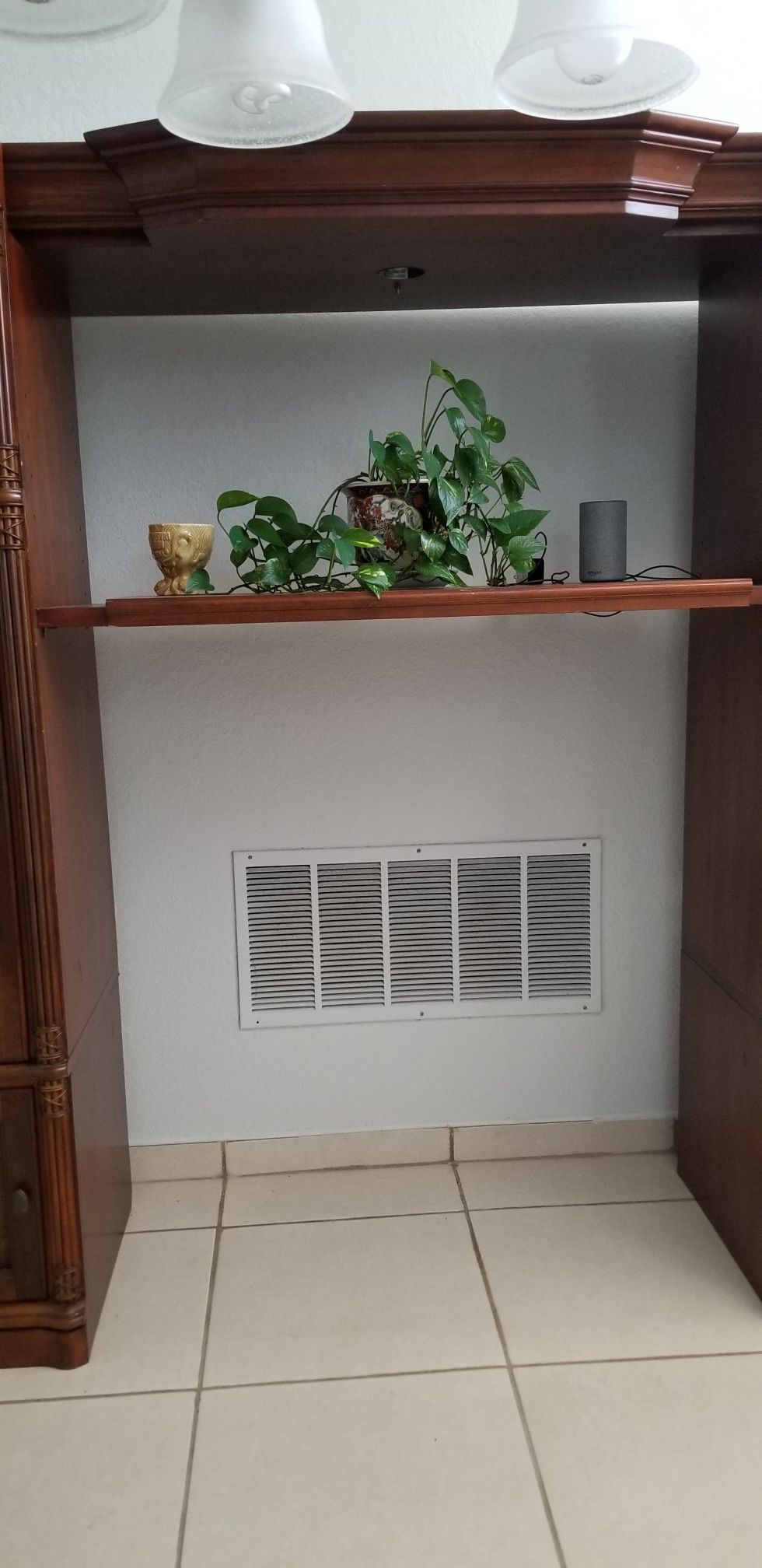 Wall Unit or Entertainment center