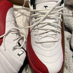 Jordan 12s