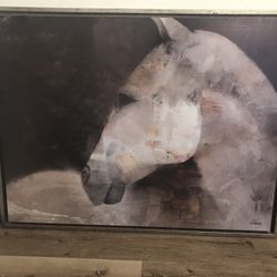 Beautiful White Stallion