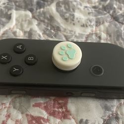 Nintendo Switch Controllers 