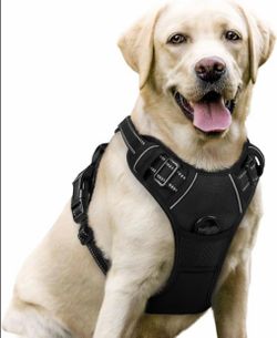 Rabbitgoo Dog Harness No Pull With 2 Leash Clips, Size Large, No Choke