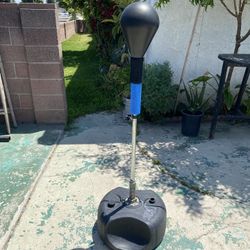 Reflex Punching Bag 
