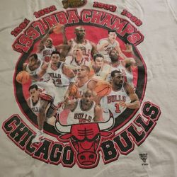 Vintage Chicago BULLS T Shirt 1997 Championship
