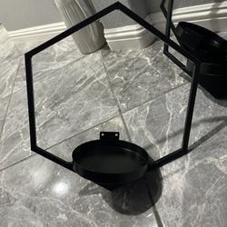 Wall Plant Frames