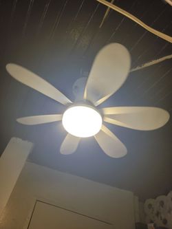 Flower Fan Light 80w with Remote