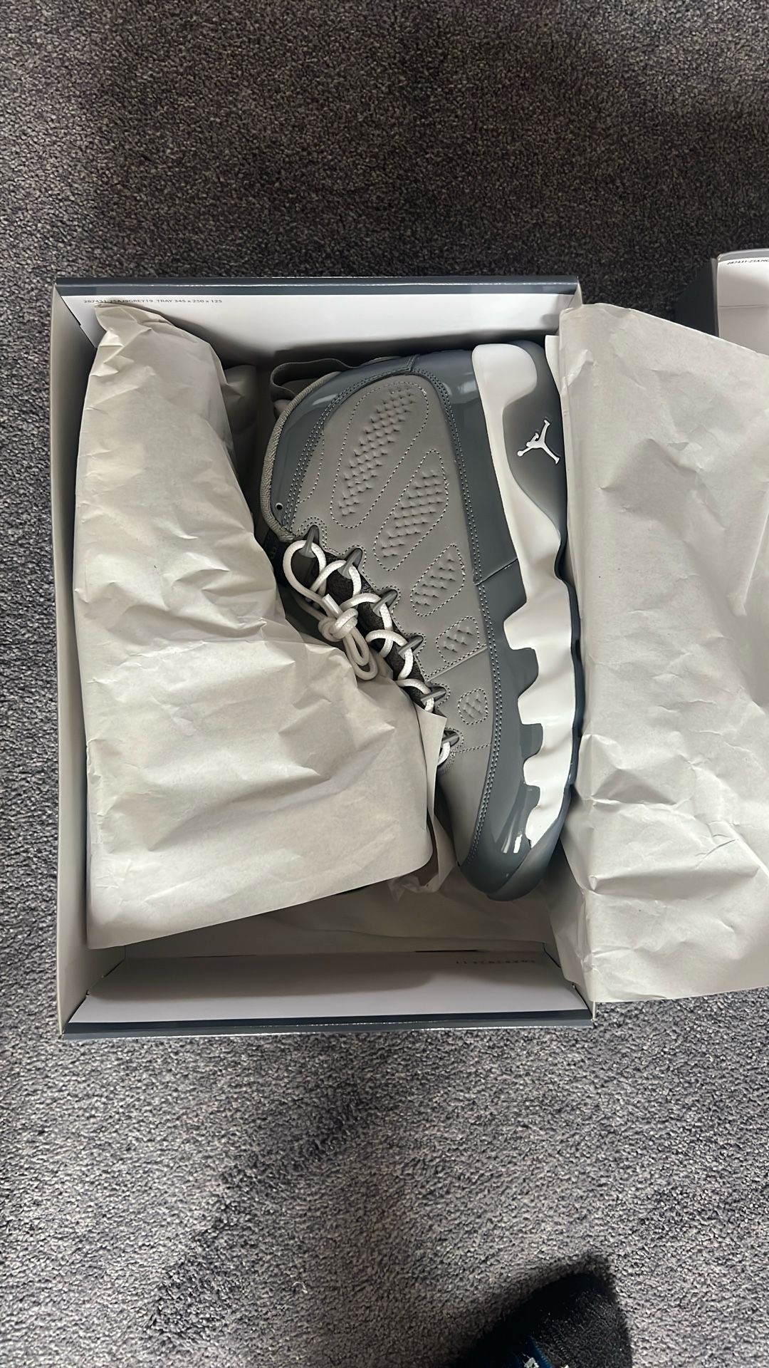 Air Jordan Cool Grey 9