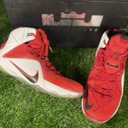 Size 11.5 - Nike Lebron 12 "Heart Of A Lion"