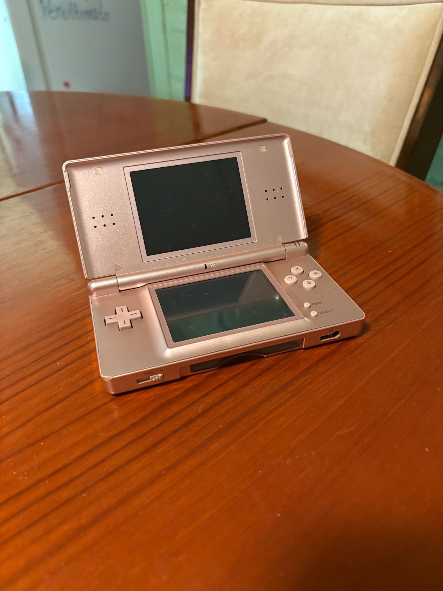 Nintendo DS Lite Nintendogs Edition