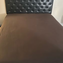 Queen sized pleather bedframe