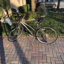 Crossroads Specialized 