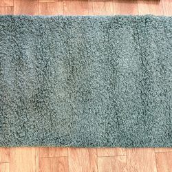 Shag Rug 3x5