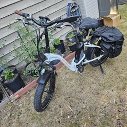 Rad Power Bike