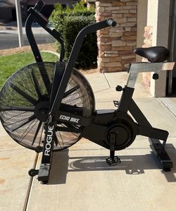 Rogue Echo Bike – Like New | Excellent Condition