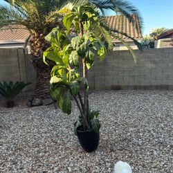 Indoor or Outdoors Plastic Decorative Plant/Tree