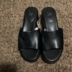 A New Day Heels