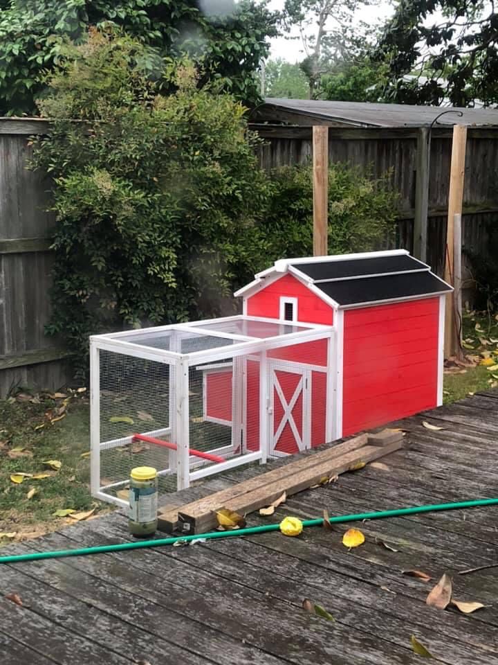 Chickens, coop and supplies