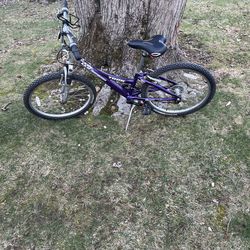 24” trek mountain bike