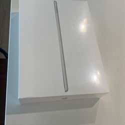 iPad 256 GB Wi-Fi + Cellular