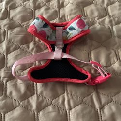 Dog Harness Leash (small)