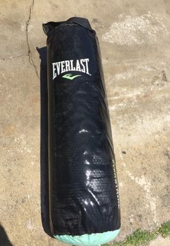 Everlast EverStrike Stand up or Hang Heavy Bag