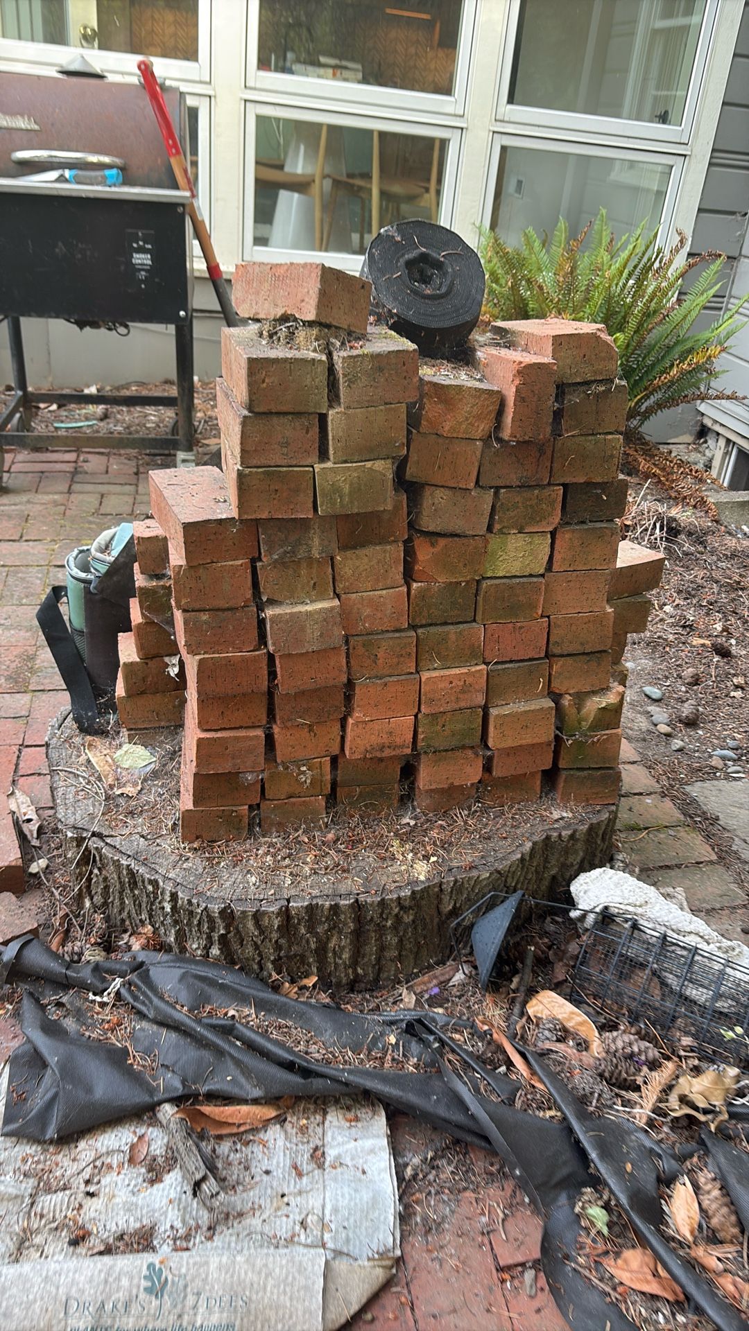 Free Bricks