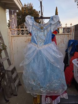 Cinderella Princess Girls Costume Dress