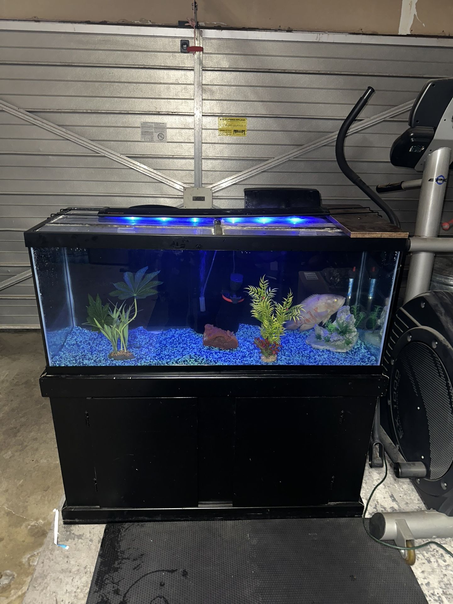 75 Gallon Aquarium