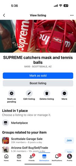 Supreme catchers mask and balls