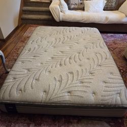 Queen Sealy Posturepedic Mattress W Protector