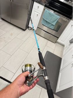 Pflueger Penn fishing pole combo size 3-4k