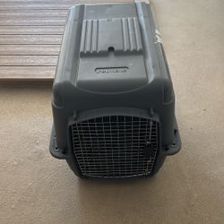 Dog kennel 
