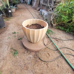 Plant Pot 