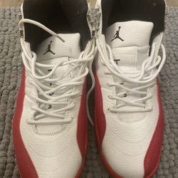 Jordan 12s