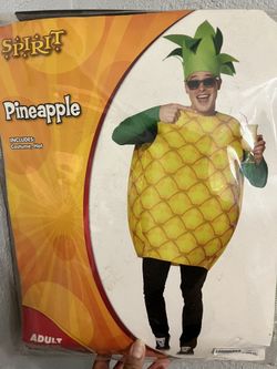 Pineapple Halloween Costume 🎃