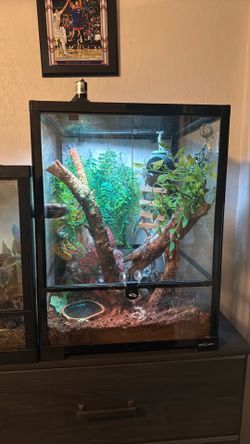 reptile cage