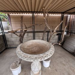 Bird Bath And Perches