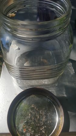 Antique sugar jar