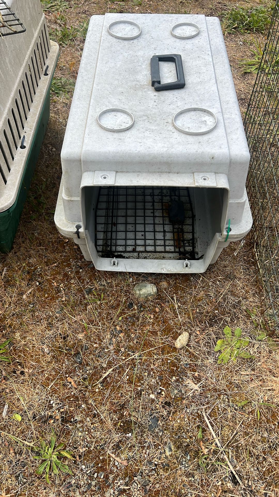 Animal Cages
