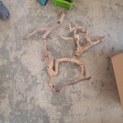 Reptile Logs