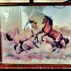 Horse framed picture