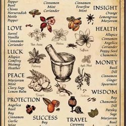 Kitchen Witchery Potion Brewing Canvas Poster Print Wall Art 30cm by 40 cm 