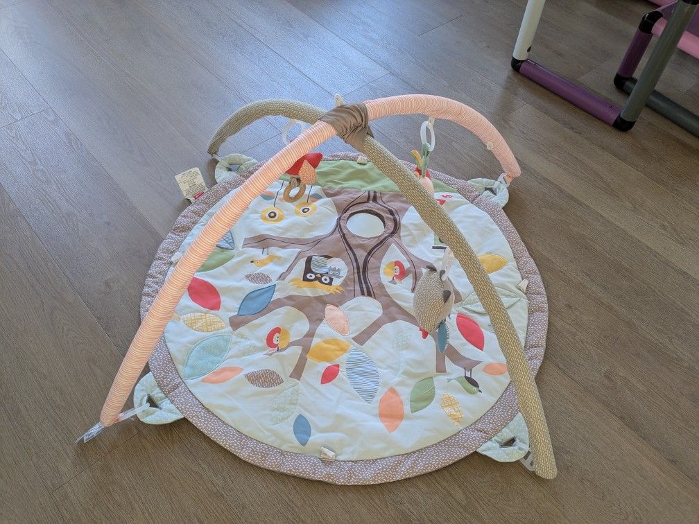 Skip Hop Play Gym