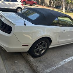 Mustang Convertible 2013