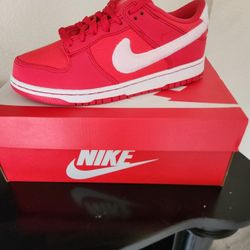 Brand new  NIKE Low GS size 6