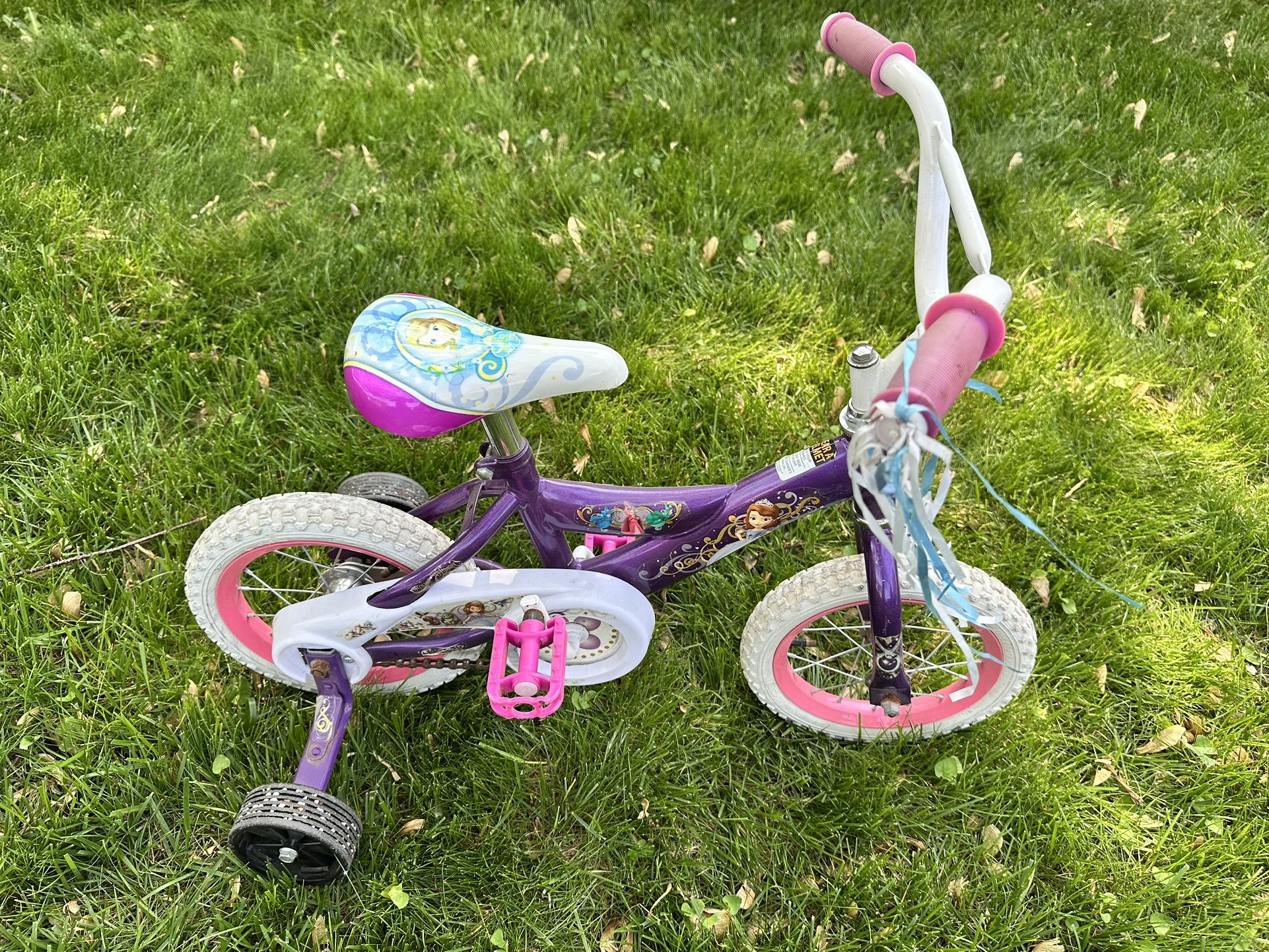 Free Girls 12” Bike With Training Wheels